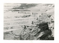 Photograph of Red Arrows BAe Hawk Formation Over Mountain Terrain c.1980s