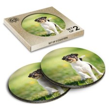 2 x Boxed Round Coasters - Cute Fox Terrier Dog Puppy  #2223
