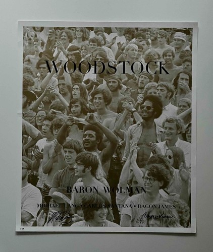 Woodstock wall art poster - woodstock,
