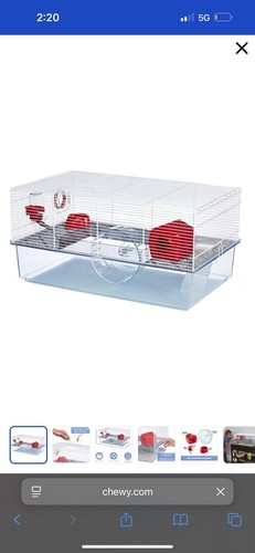 Hamster cage with female