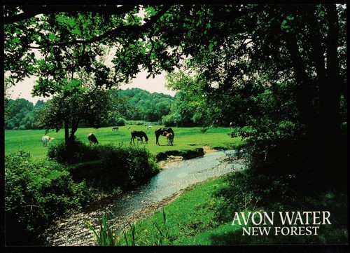 Avon water new forest - new,