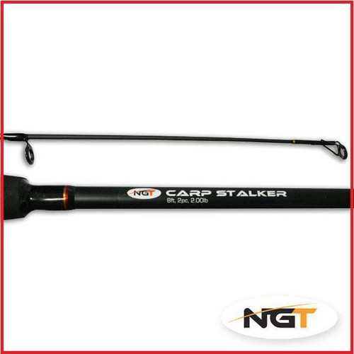Carp fishing stalker margin - carp,