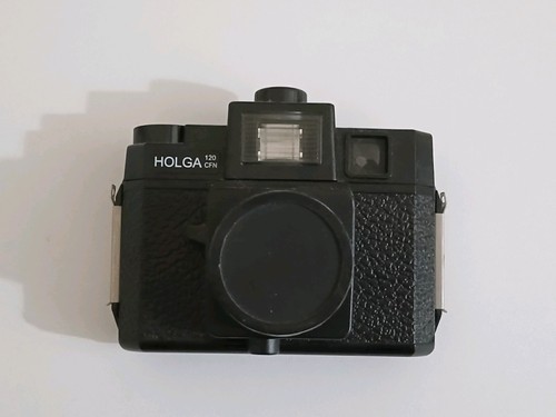Holga 120 cfn medium format - medium,