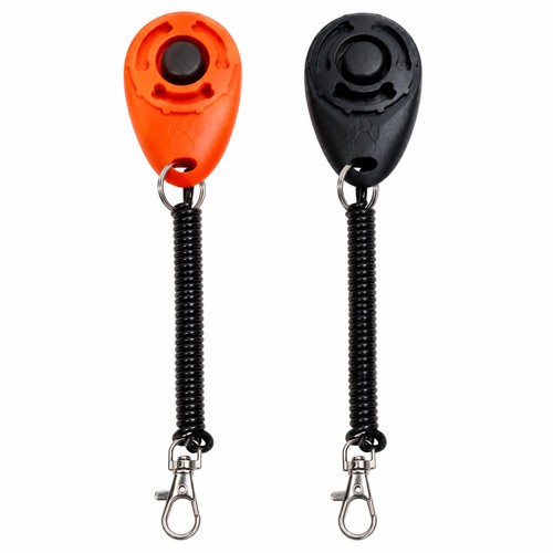 Total pet dog - pet, training
