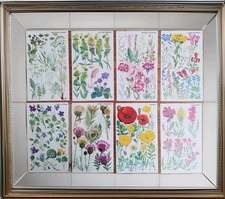 Botanical Prints Set Vintage Bookplate Flower Illustration Art Marjorie Blamey 
