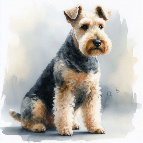 Airedale terrier watercolour - airedale,