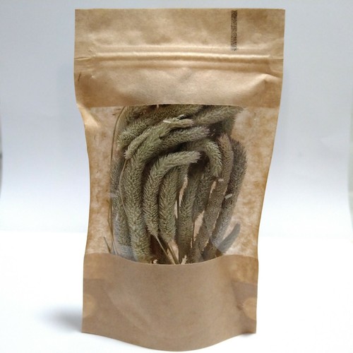 Timothy hay seed - hay, heads