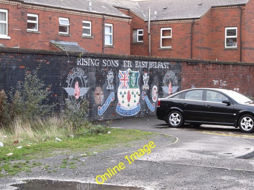 Photo 6x4 mural - mural, of