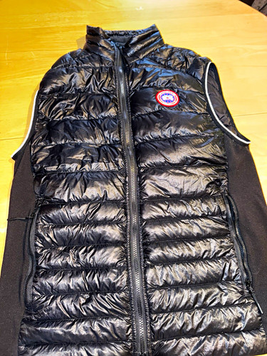 Canada goose hybridge - goose, lite