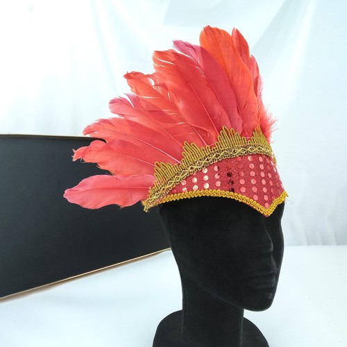 Colorful feather headdress - feather,