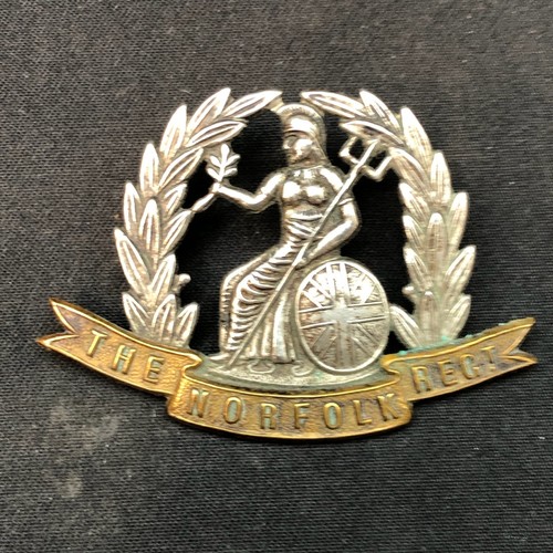Royal norfolk regiment - norfolk,