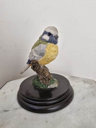 Blue tit regency fine - by,