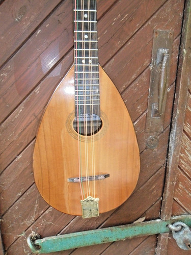 Octave mandolin r - octave, "q"/r