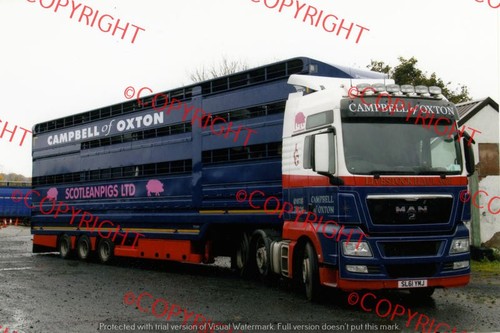 Truck lorry photo campbell - photo,
