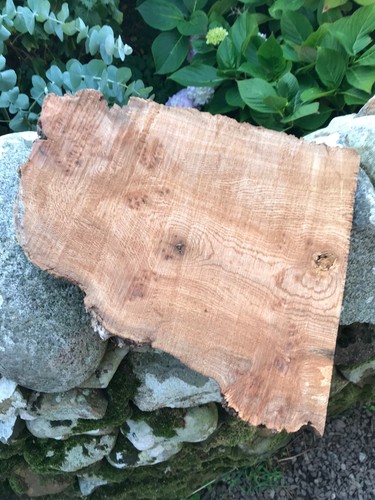 Chunky scottish burr elm - chunky,