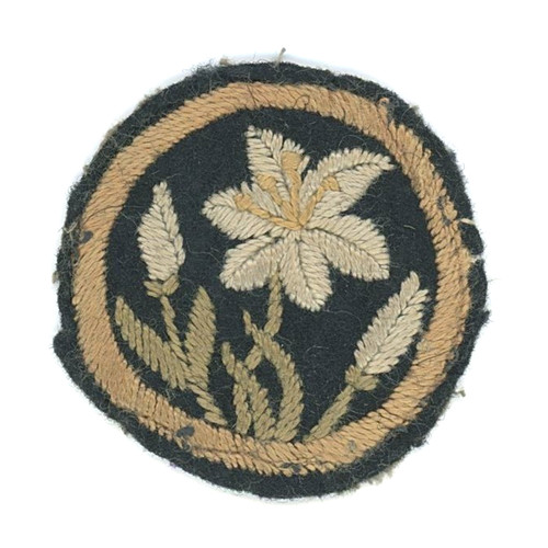 Early rare girl guides lily - girl,