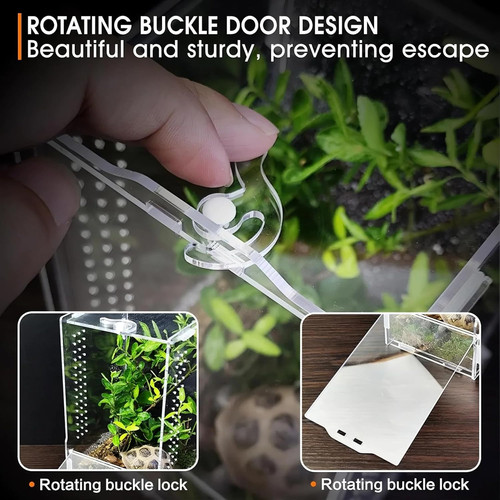 Acrylic terrarium for jumping - acrylic,