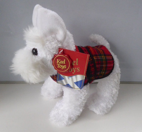 West highland white - white, terrier