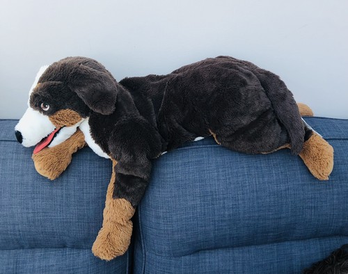 63cm ikea hoppig bernese - 63cm,