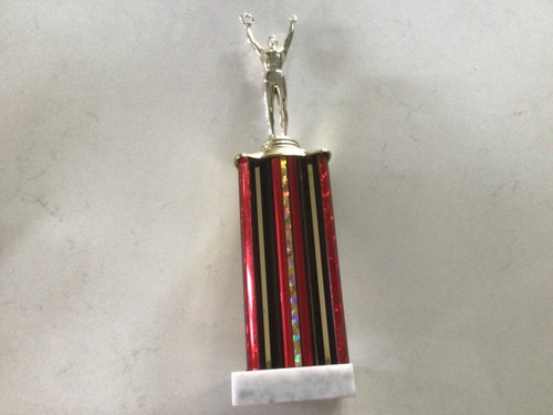 Achievement trophy male 12 - achievement,