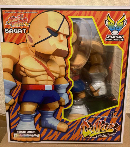 Sagat street fighter - street, 2d