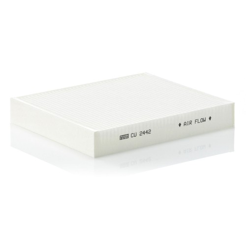 Particulate cabin pollen - particulate,