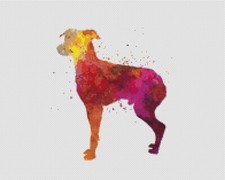 Japanese Terrier Puppy Dog