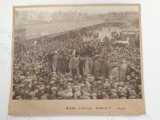 Rugby Cattle Market Crowd