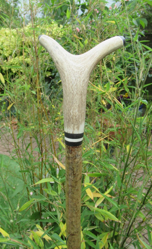 Hand crafted tall hazel - hand,