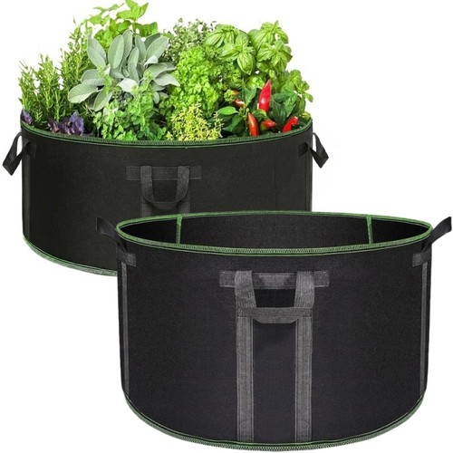 Gallon large plant grow - 50,