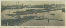 1925 photo Lumber camp Logs Choking River Canada British Empire cruise 5x2"