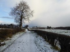 Photo 6x4 Snow, Carony