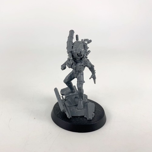 Culexus assassin plastique - culexus,