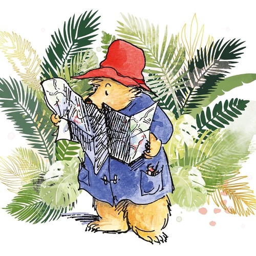 Paddington bear peru blank - in,
