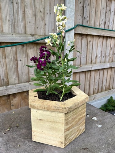 Hexagonal flower wooden - ,