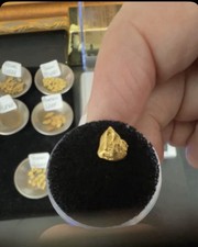 California Large Nugget Gold