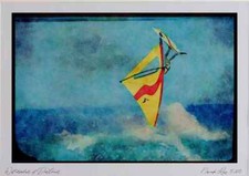 Sailing 339080 O'Neill Cup