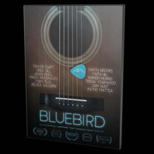 Bluebird - An Accidental