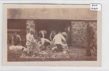 YETHOLM Postmark / Sheep