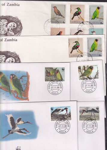 Birds choice tuvalu zambia - choice,