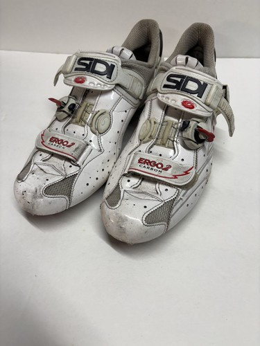 Sidi ergo carbon cycling - sidi,