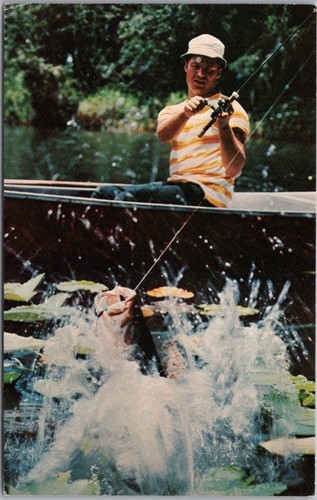 Vintage 1960s fishing - vintage,