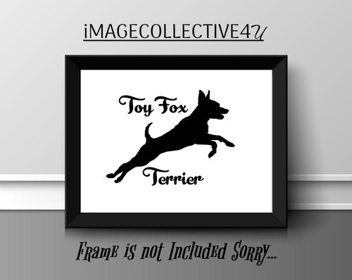 Toy fox terrier pet dog - fox,