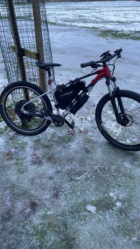 Mountain bike - mountain,
