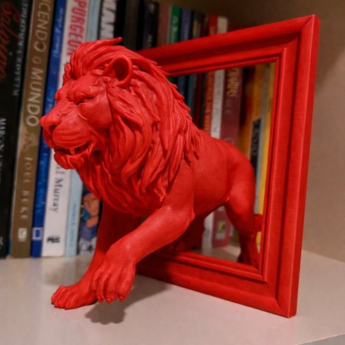 Lion frame illusuon - lion,