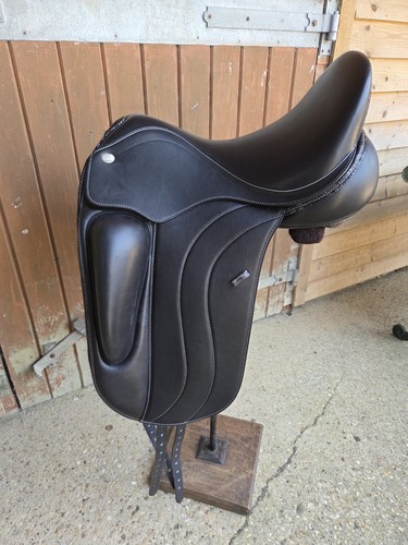 Fairfax rebecca dressage - fairfax,