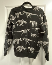 Joanie Anning Dinosaur Jumper