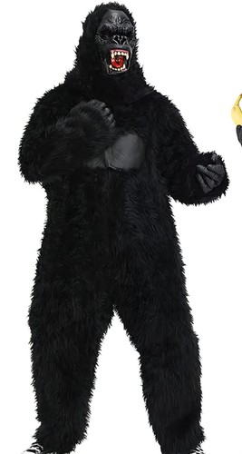 Expert wild gorilla adult - expert,