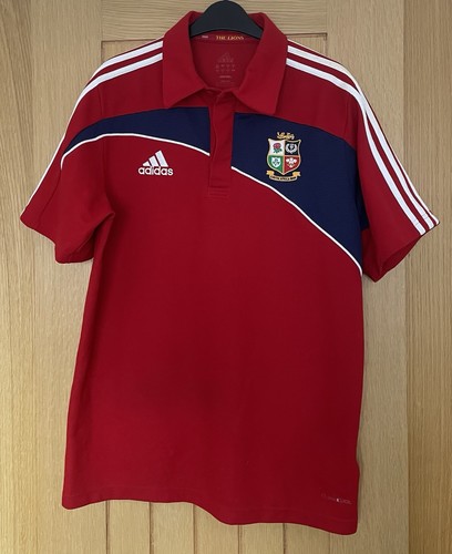 British lions 2009 - 2009, south
