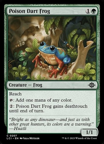 Poison dart frog - dart, ~